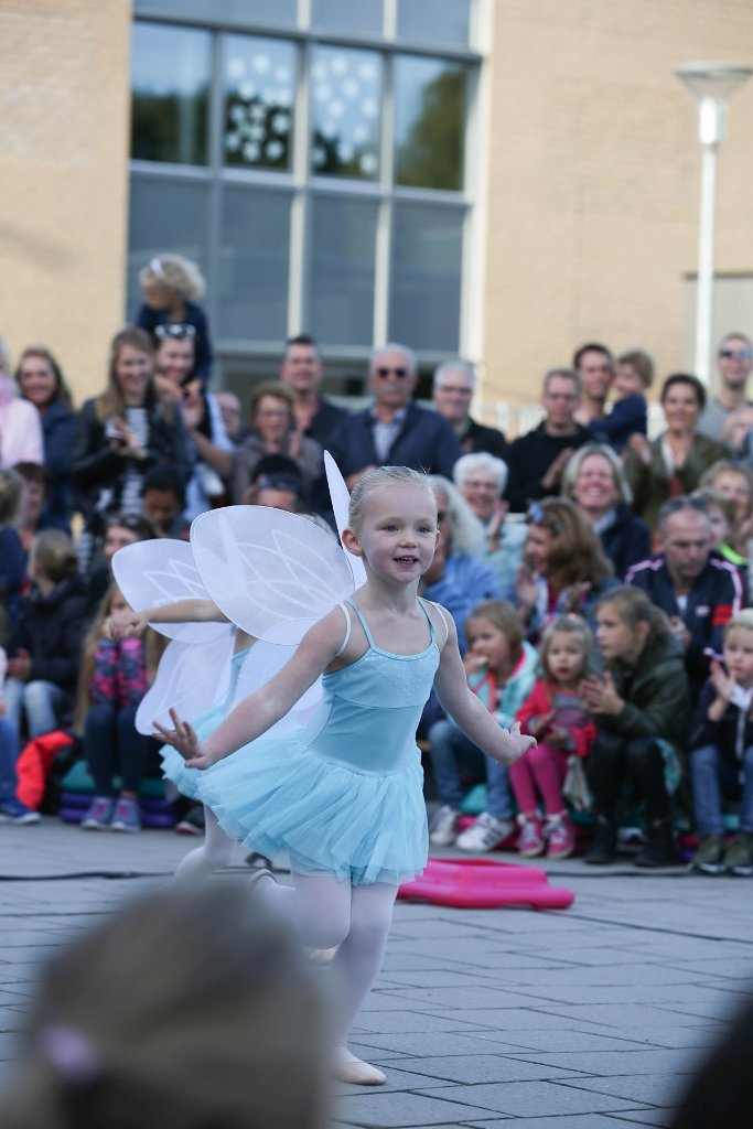 Schoolplein Festival B 080.jpg